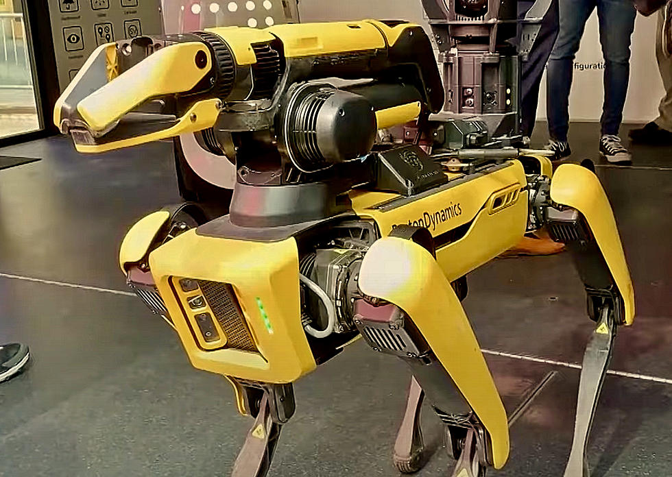 Robotic Police Dogs Unleashed by New York City Mayor