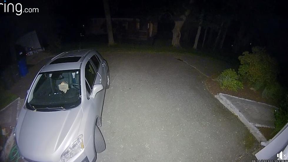 New Milford Police: These Car Thieves Have No Respect For Your Property