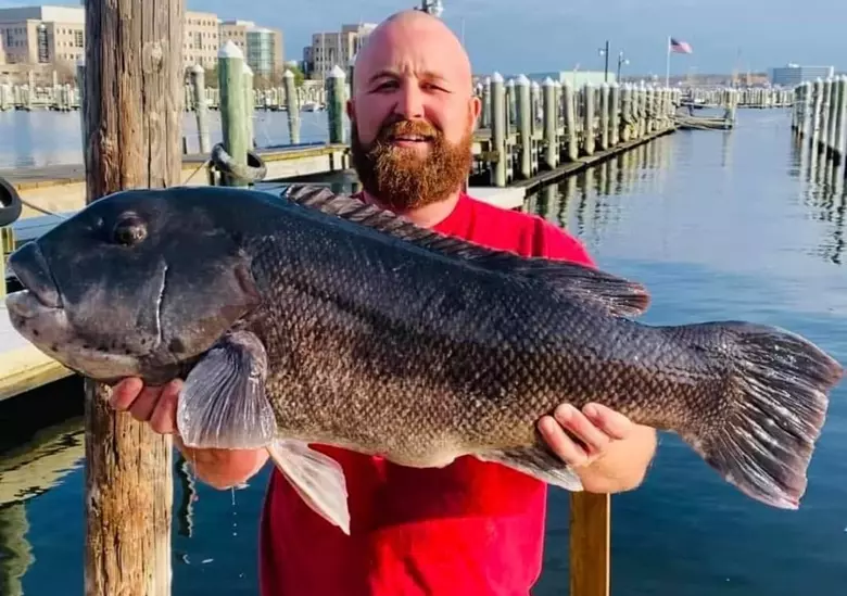 This Mutant Fish is CT's New Record Holder Called 'Taugzilla