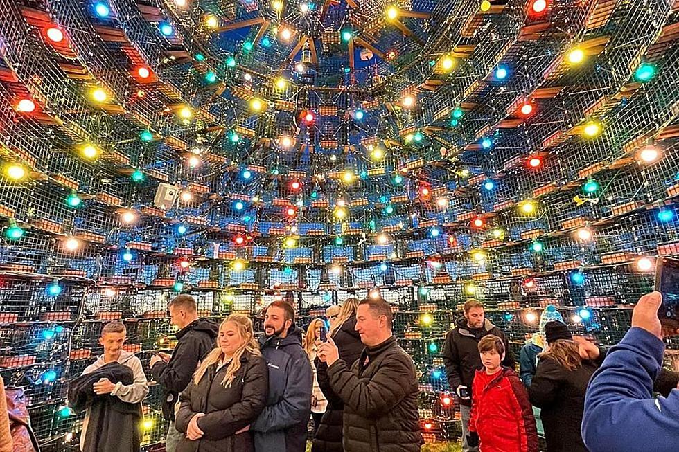 Connecticut Town’s Lobster Trap and Buoy Christmas Tree is a Copyrighted Masterpiece