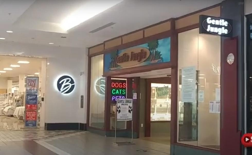 The Last Mall Pet Store in Connecticut Has Permanently Closed