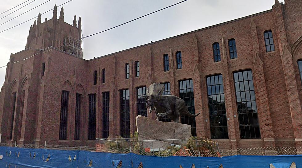 Dinosaurs Will Once Again Roam New Haven in 2024