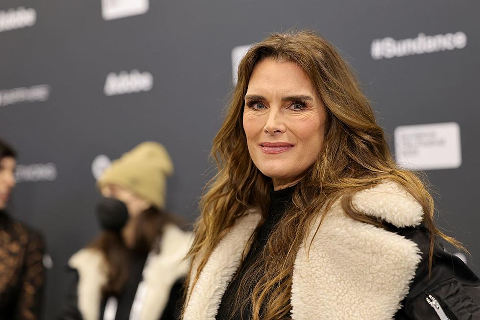 Did You Know Brooke Shields Owns a Business in New England?