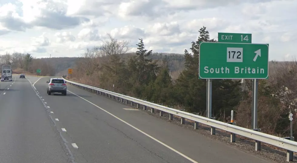 Dead Wood Has Been Removed From Southbury’s Main Street South