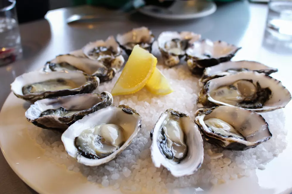 Fresh oysters from an oyster farm in Tasmania, Australia.