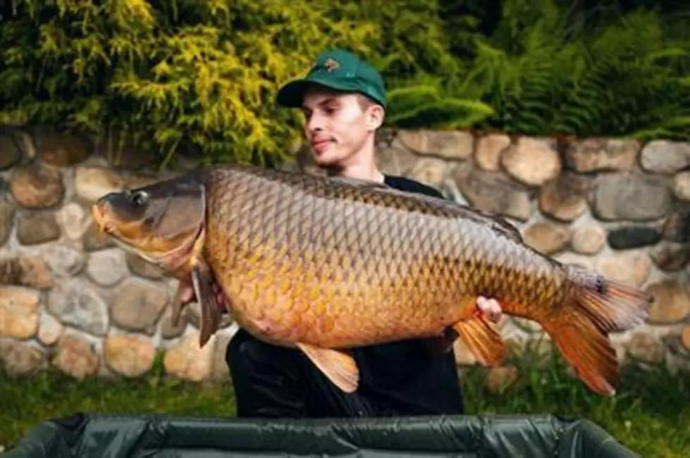 Holy Carp! CT Man Lands State Record with Whopping Catch!