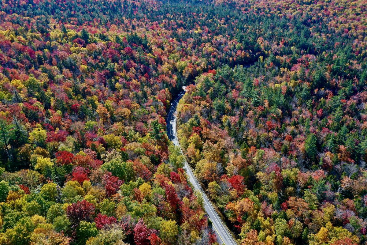 Connecticut’s Ultimate Fall Foliage Road Trip For October 2024