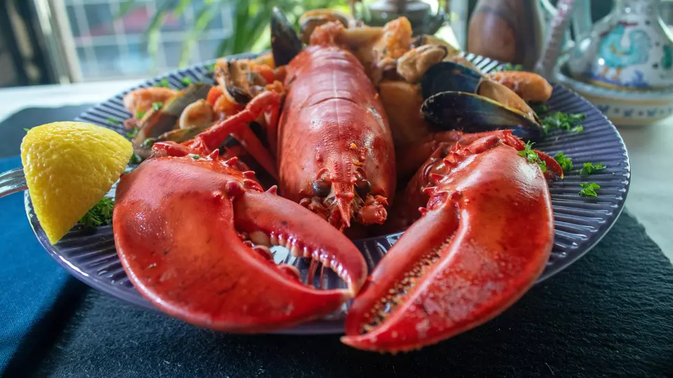 The Top 10 Favorite Foods Connecticut Locals Love Most in 2025