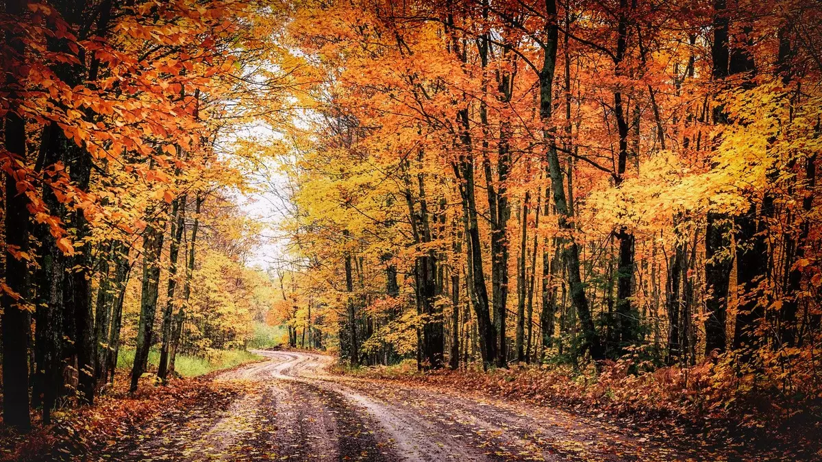 New York Region Named One of the Nation’s Most Beautiful Destinations for Fall Foliage