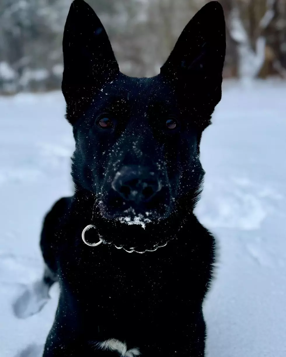 CT State Police