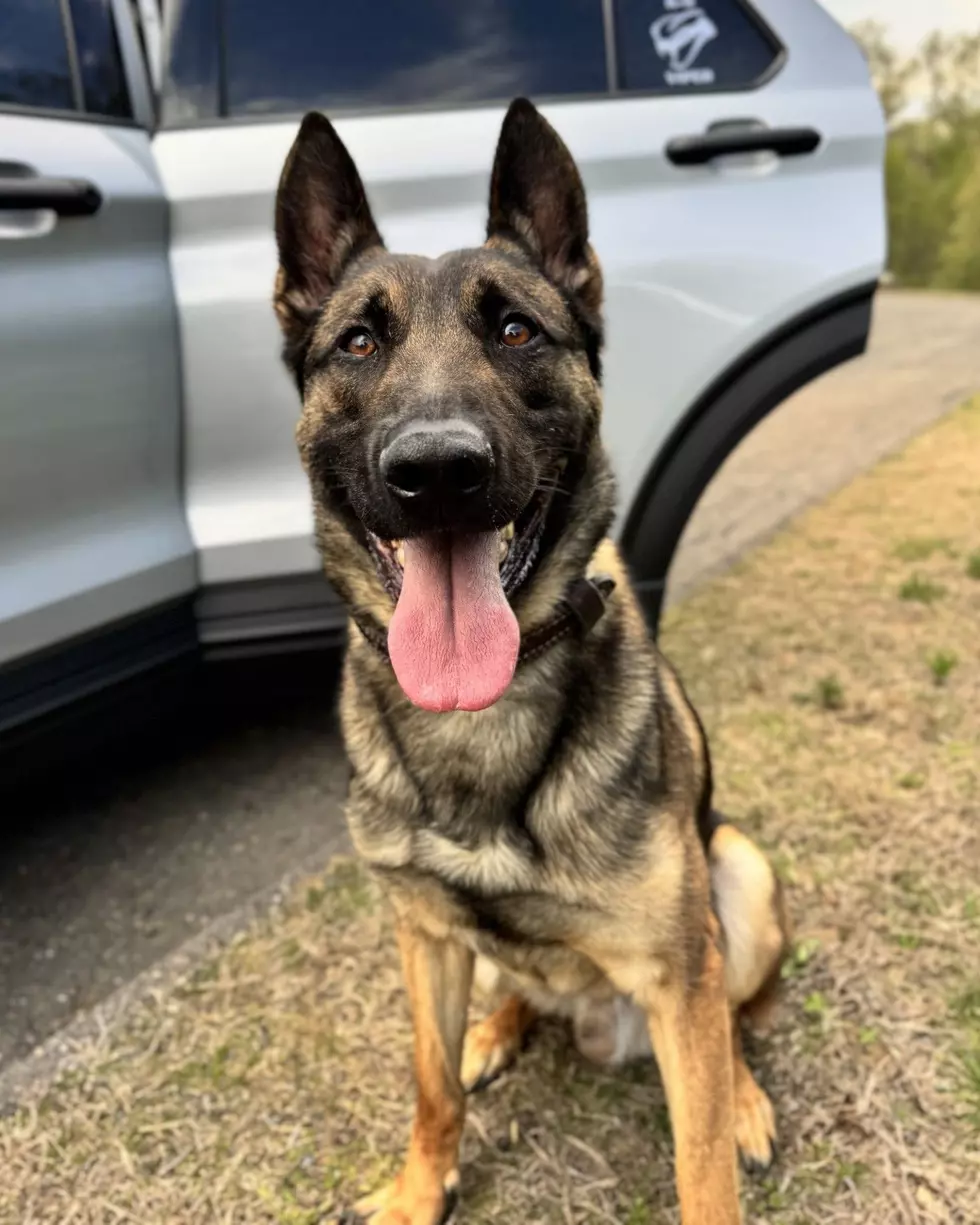 CT State Police