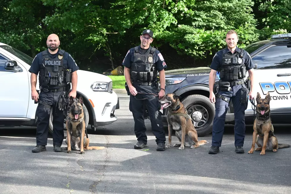 Brookfield PD