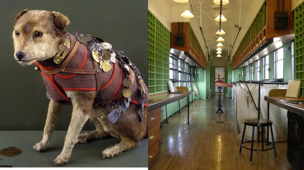 Unique Danbury Railway Museum Event Honors Famous Mail Dog