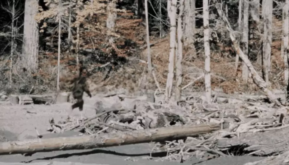 NY Bigfoot Claim Goes Viral After Hunter Reveals DNA Results