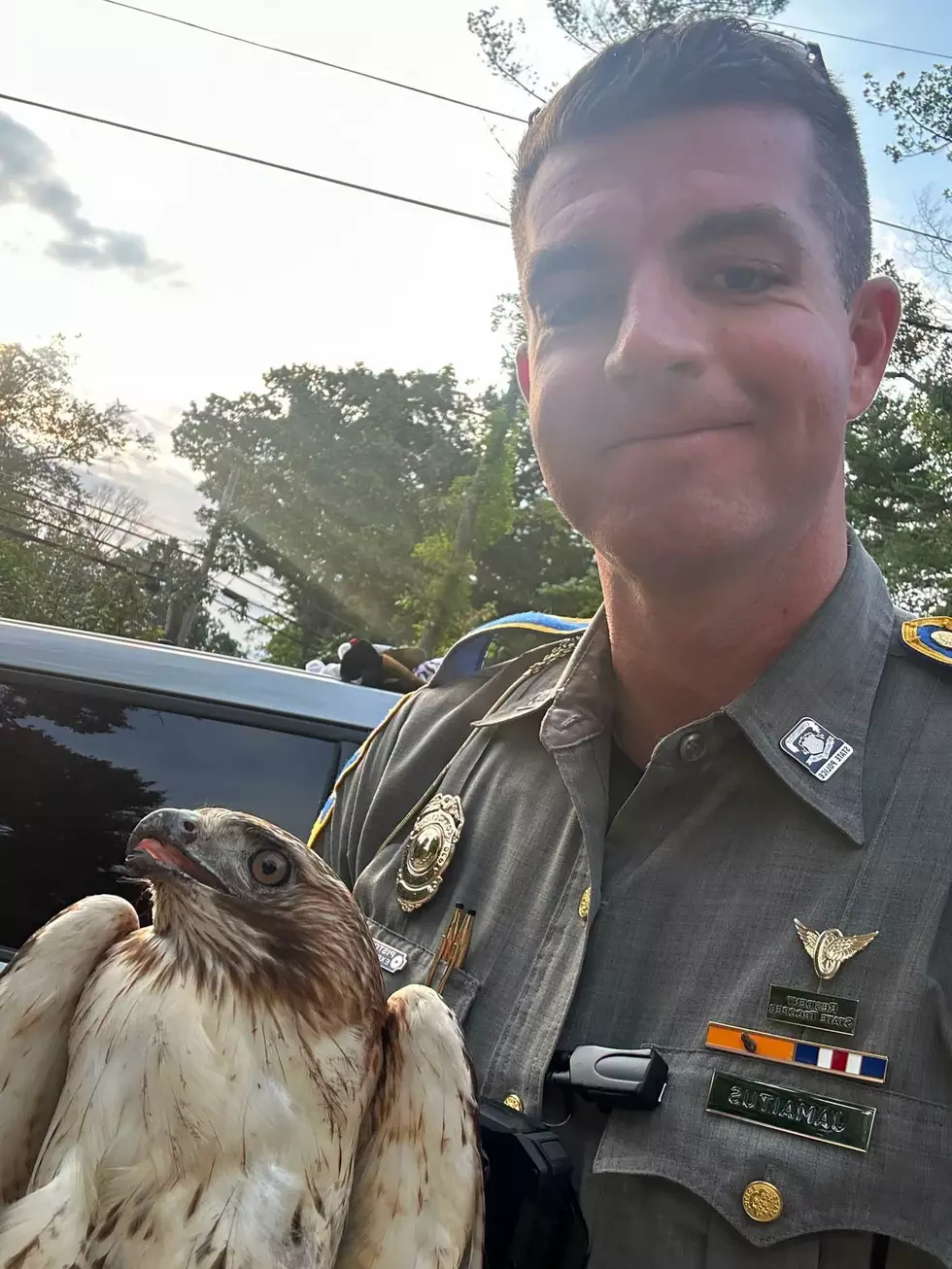Connecticut State Police