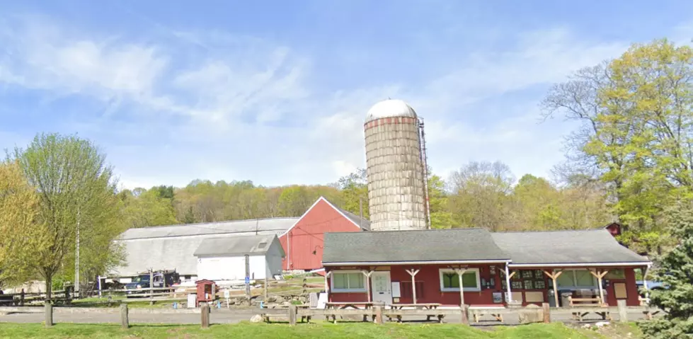 Why Everyone Is Waiting in Line at This Famous Newtown Ice Cream Shop