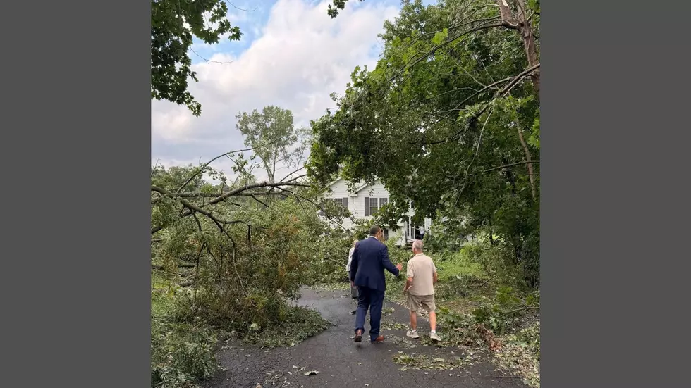 Danbury Officials Respond to Storm Damage on Virginia Avenue