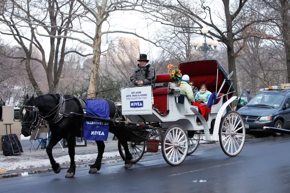 New York City Moves Closer to Banning Central Park Horse-Drawn Carriages