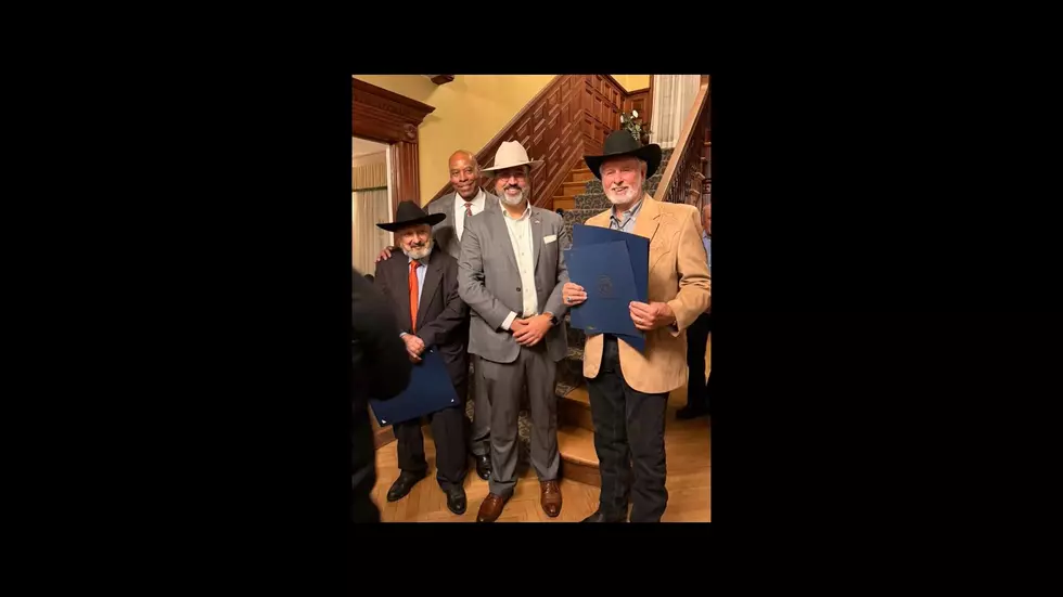 Danbury Celebrates the People Helping Preserve Tarrywile Park