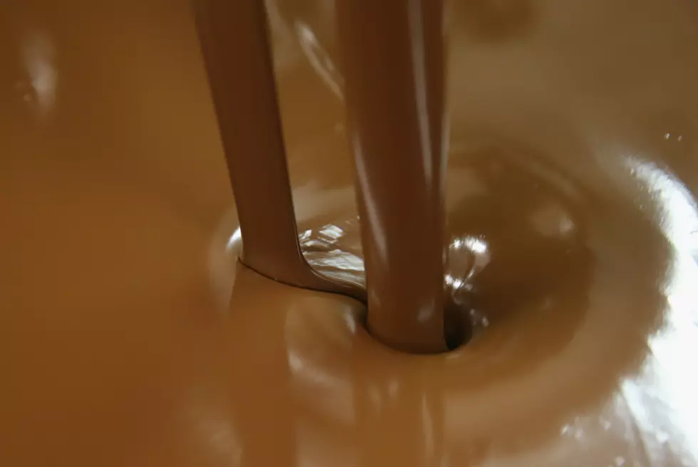 Chocolate Milk for EVERYONE!