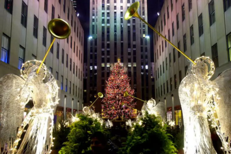 Rockefeller Christmas Tree Found and Placed