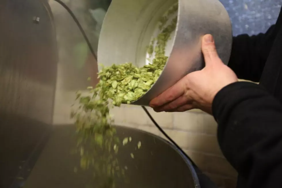 What’s the Difference Between a Pale Ale and IPA?