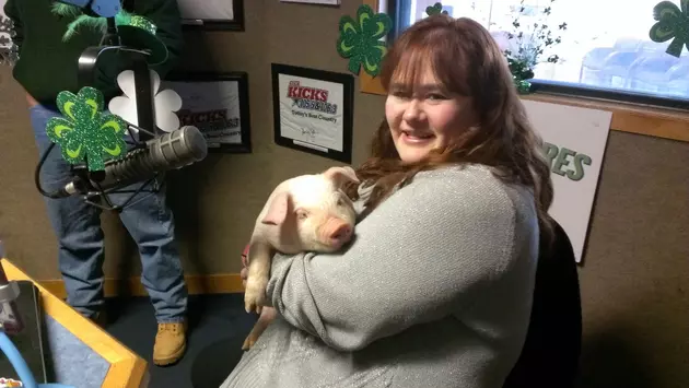 National Pig Day: Local Morning Show Gets a Special Visit [VIDEO]