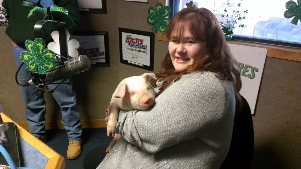 Local Radio DJ Takes Piglet, Gets Caught [VIDEO]