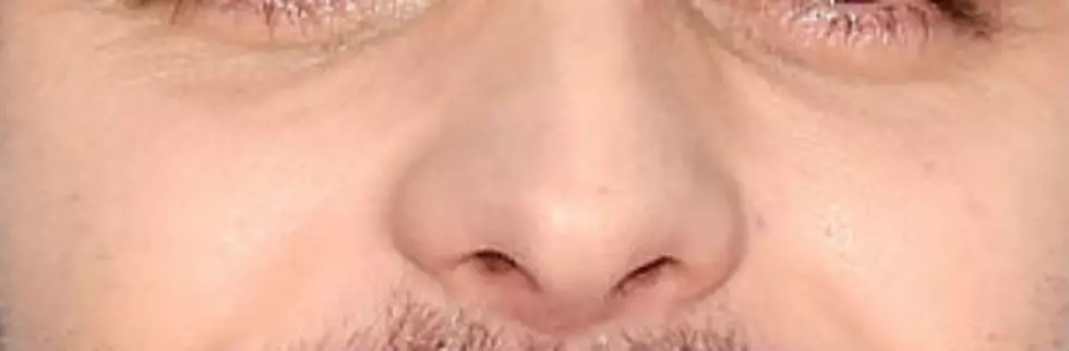 Which Star Belongs to This Nose ?