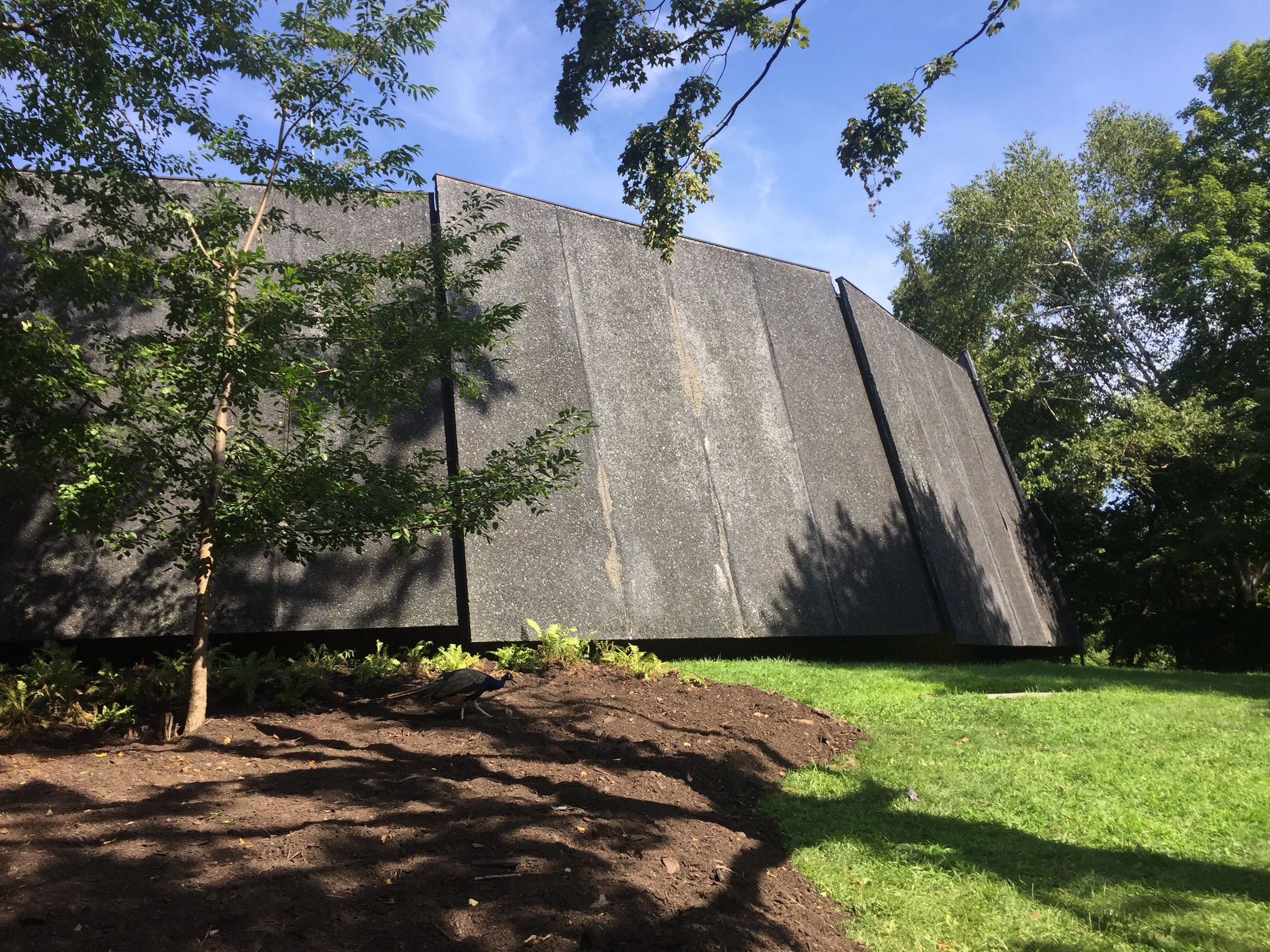Seeing the Past at the Bronx Zoo