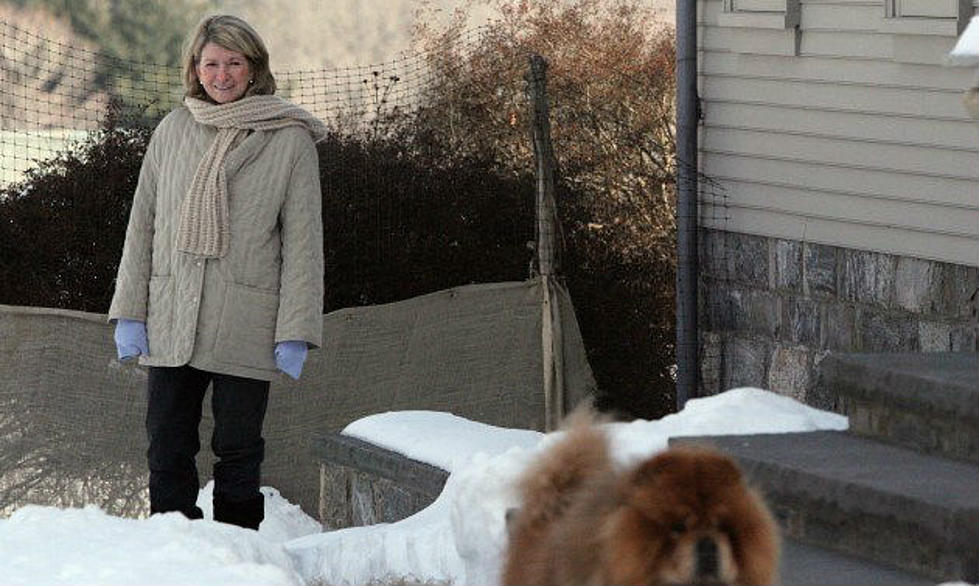 Martha Stewart Gets Stuck in Snow in Katonah and the Internet Melts Down