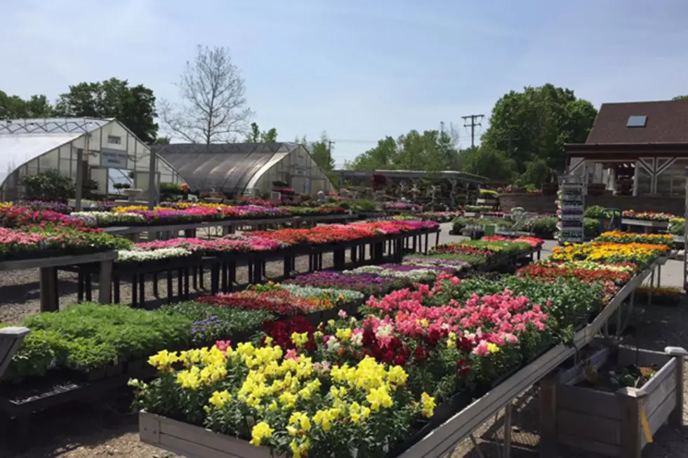 Scott&#8217;s Landscaping &#038; Nursery &mdash; Danbury's Garden Nursery - Landscaping - Design Expert