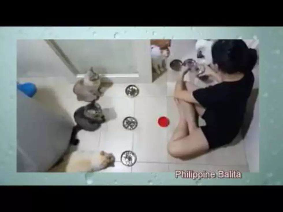Feline Friday Video Has Cats Saying Grace Before Meal
