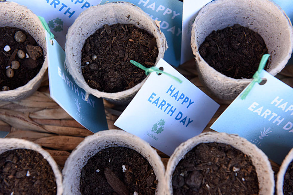 Plenty of Earth Day Activities Planned For Local New York Towns