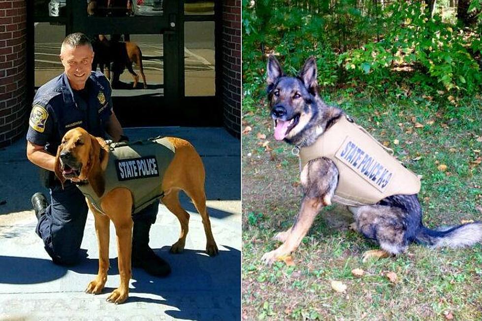 Two Connecticut State Police Dogs Receive Body Armor