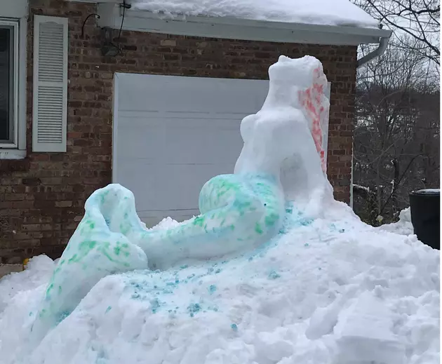 Lake Carmel Man Turns Miserable Snow Pile Into Beautiful Art