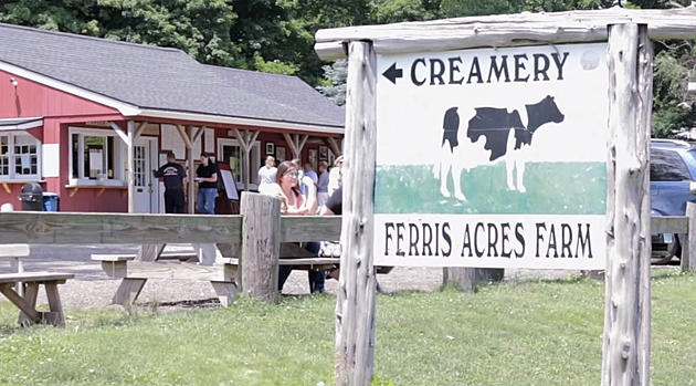 Newtown’s Ferris Acres among the Best Ice Cream Shops in America