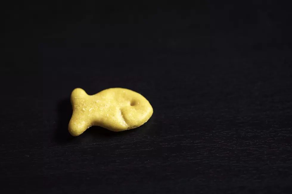 What You Need to Know About the Pepperidge Farm Goldfish Recall