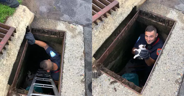 Hot Connecticut Firefighter Saves Kitten From Storm Drain