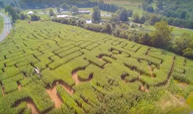 &#8216;Dancing With the Stars&#8217; Corn Maze in CT Is Nothing Short of A-MAZE-ING