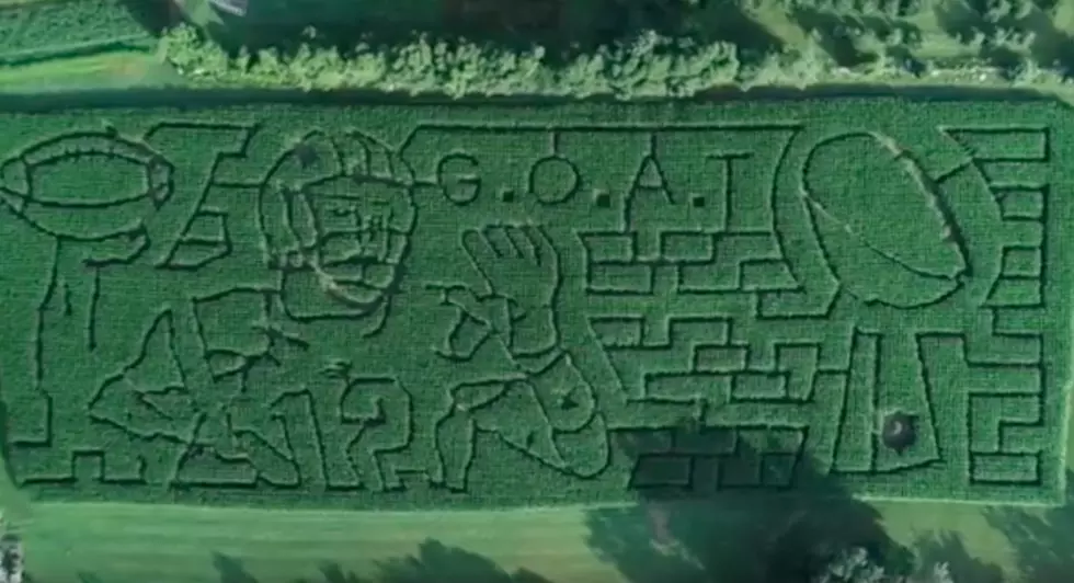 Tom Brady-Themed G.O.A.T. Corn Maze Is the Most New England Thing Ever