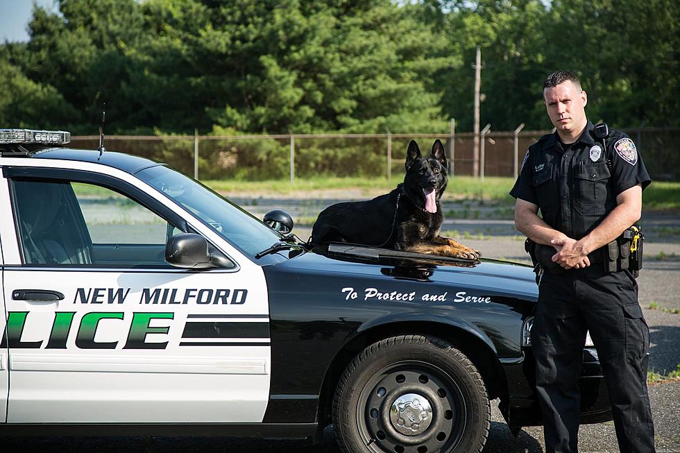 New Milford Police K-9 Locates Unconscious Man Who Threatened Suicide in Danbury