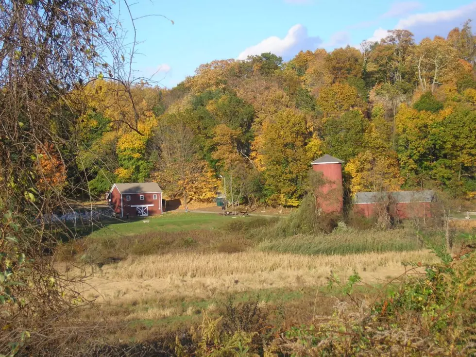 Two More Hikers Rescued By Danbury FD at Tarrywile Park