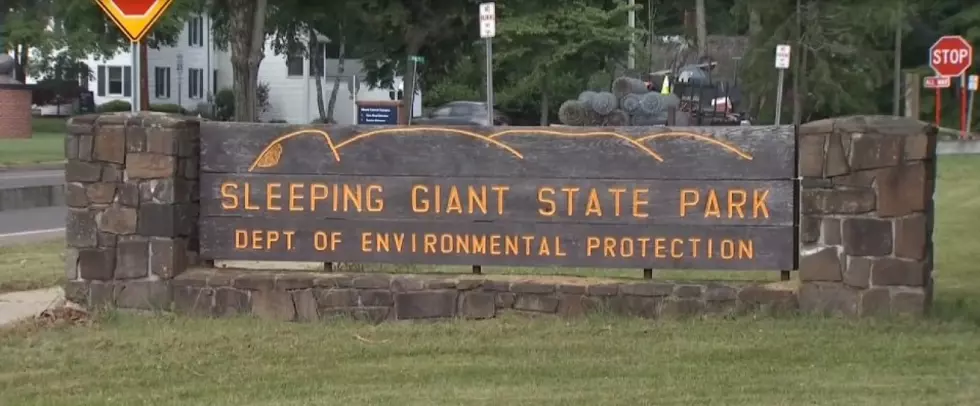 Sleeping Giant State Park In Connecticut Finally Re-Opens After Tornadoes