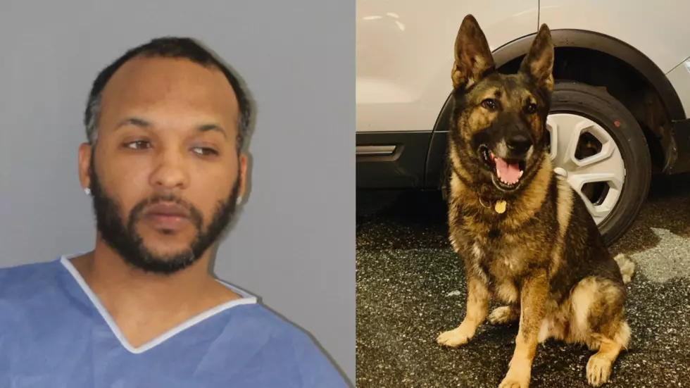 Police: Georgia Murder Suspect Caught By K-9 in Connecticut