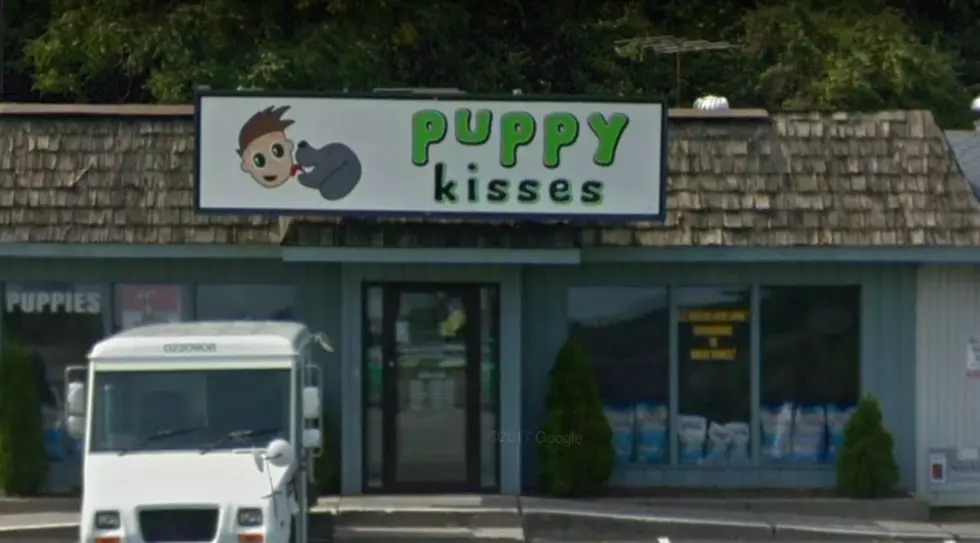 Police Say Puppies Were Sold in Danbury Under &#8216;False Pretenses&#8217;