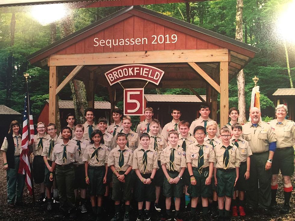 Brookfield Boy Scouts Announce Christmas Tree Pick Up Service