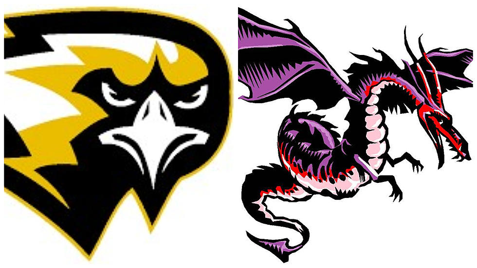Both Joel Barlow Falcons + Dover Dragons Are Mascot Madness State Champs