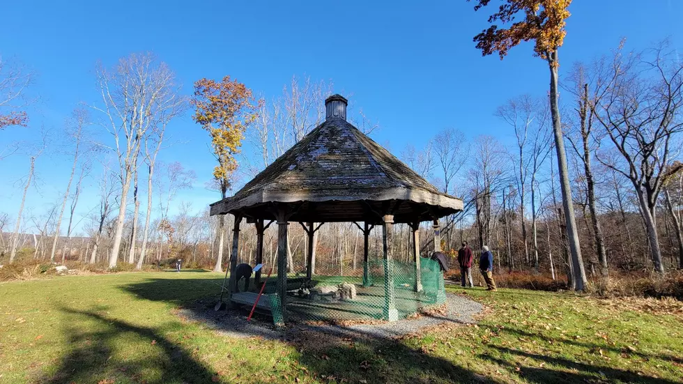 Eagle Scout Looks To Restore Gazebo At Brookfield Greenway