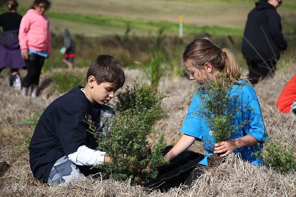 Greater Danbury Towns Gear Up to Celebrate Earth Day